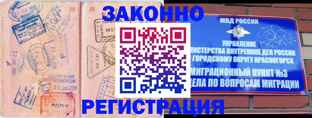 прописка иностранных граждан в Полярных Зорях