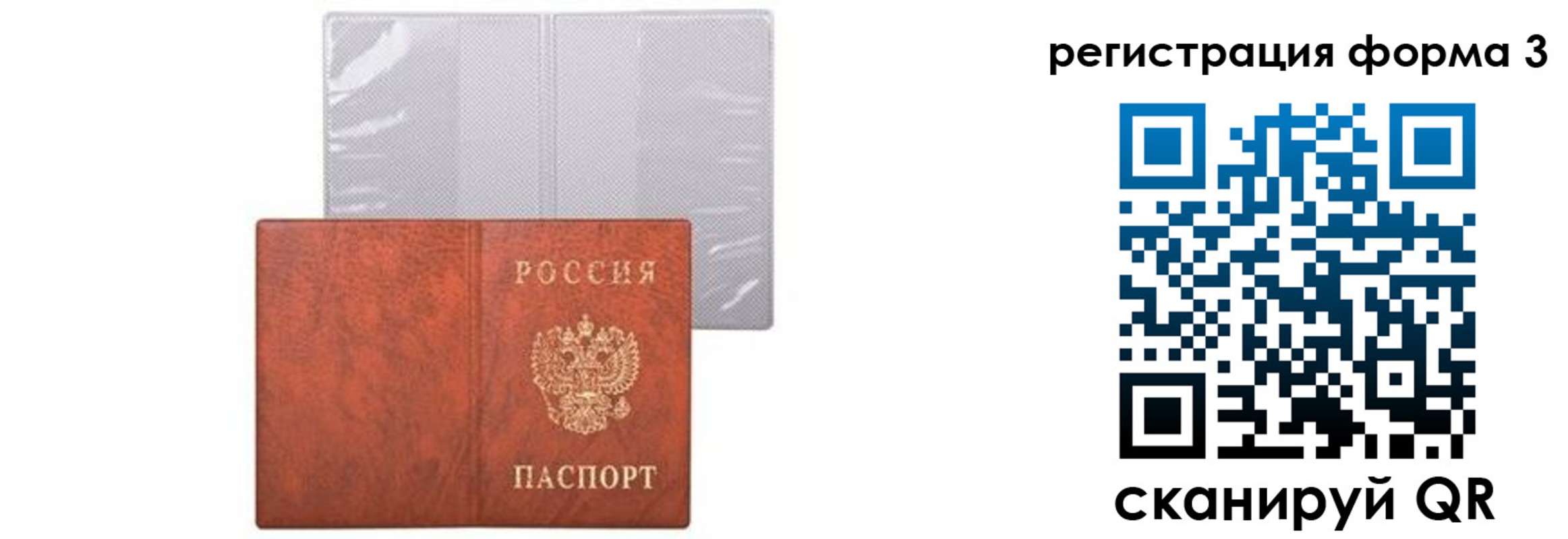 прописка 2025 в Полярных Зорях